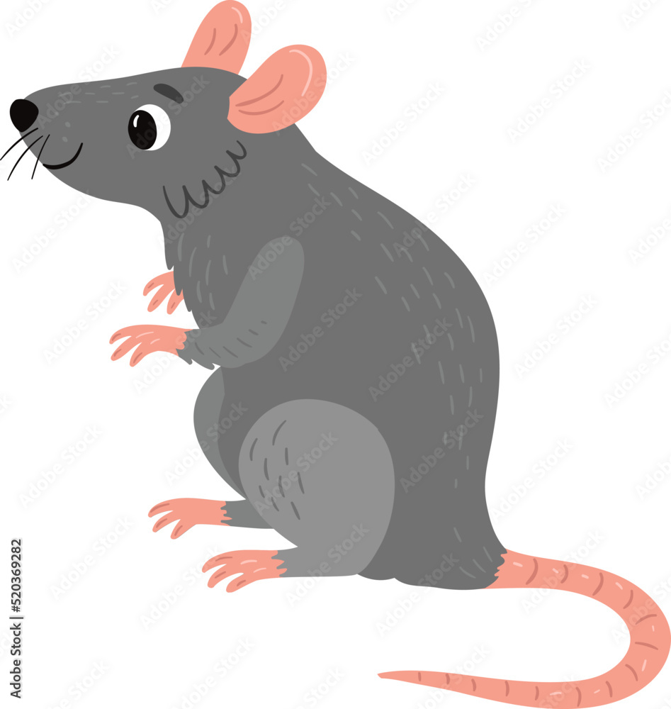 Vector illustration. Rat on a white background Vector illustration. Rat on a white background