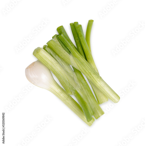 Green spring onion isolated on white background. Top view