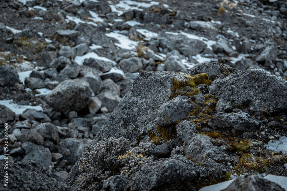 stones in the snow stones in the snow
