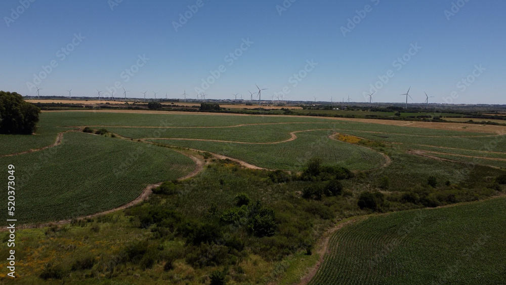Eolic wind turbines spinning and producing sustainable energy in Colonia countryside, Uruguay. Aerial drone view