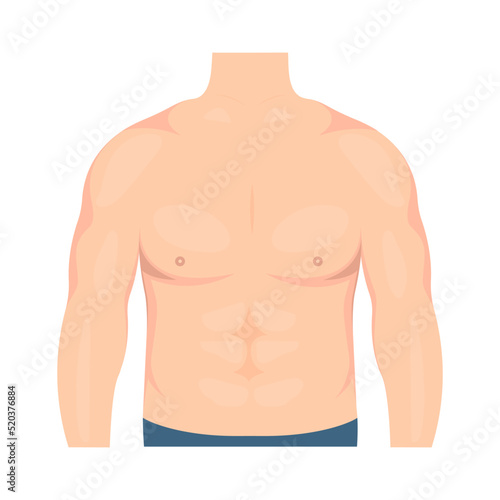 Vector illustration of a male torso