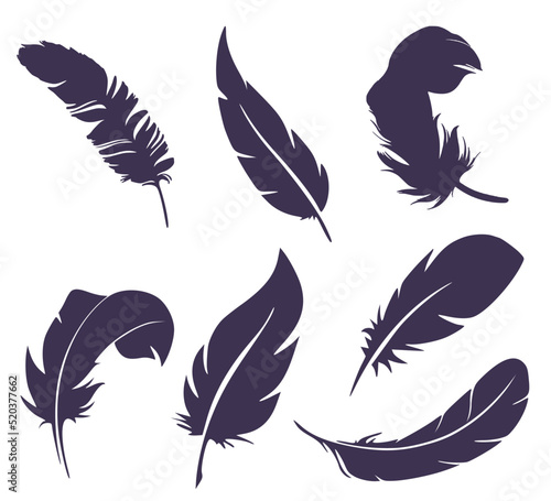 Set of seven feather silhouettes