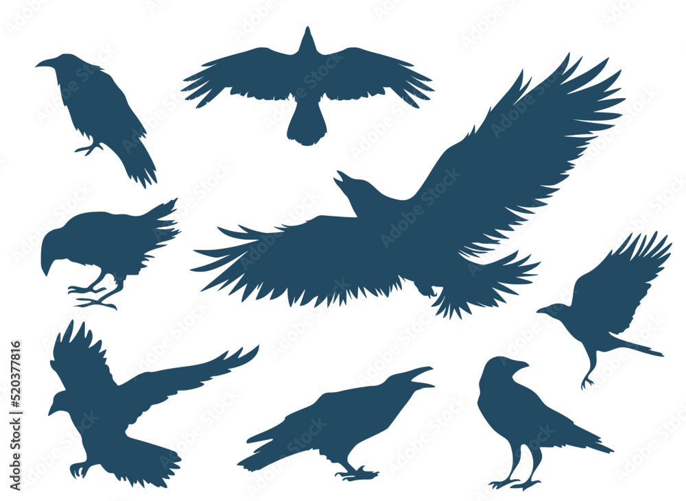 Set of eight crows silhouettes Set of eight crows silhouettes
