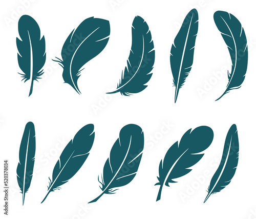 Set of eight silhouettes of bird feathers