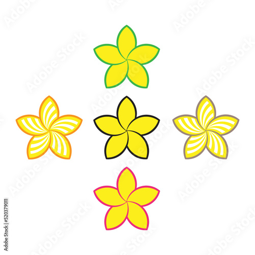  Yellow frangipani flower illustration vector