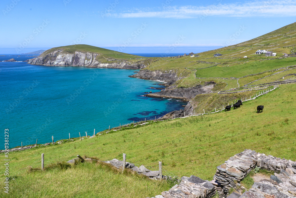 view of the coast of the dingle peninsula of county Kerry, Ireland, along the wild Atlantic way view of the coast of the dingle peninsula of county Kerry, Ireland, along the wild Atlantic way