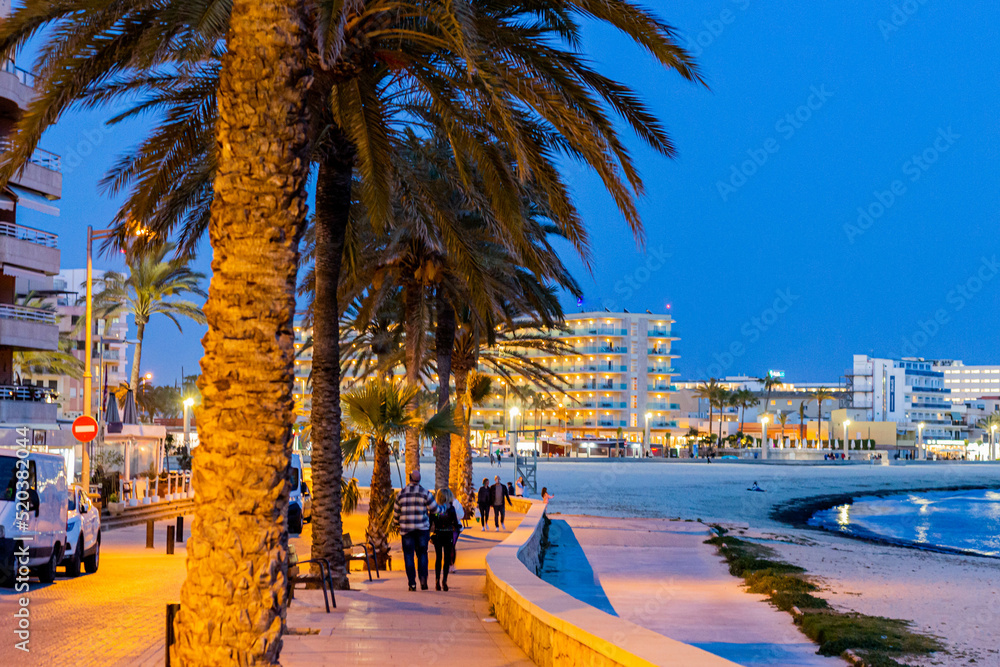 Obraz premium palm trees at night and beach