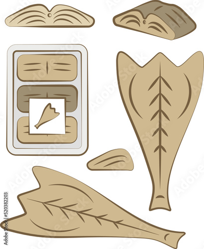 Fish fillet icon set. Bacalhau cod fish portuguese dish, vector illustration in colors