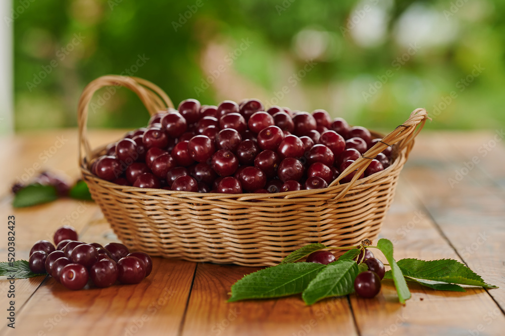Ripe cherries in a wicker basket Ripe cherries in a wicker basket