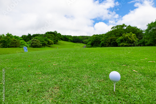 ゴルフ場のティーグラウンドからの眺めとティーアップされた白いゴルフボール（千葉県富津市）
