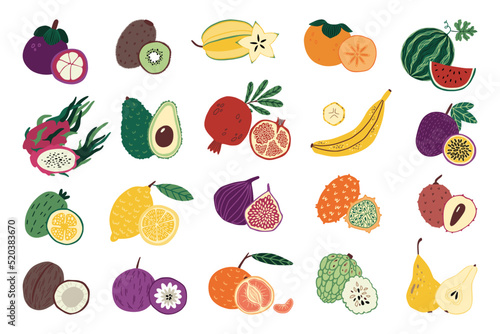 Exotic fruits. Whole and half isolated pineapple, mango and guava, persimmon and tangerine, jackfruit and mangostin, superfood set. Sweet natural fresh food. Cartoon flat vector illustration