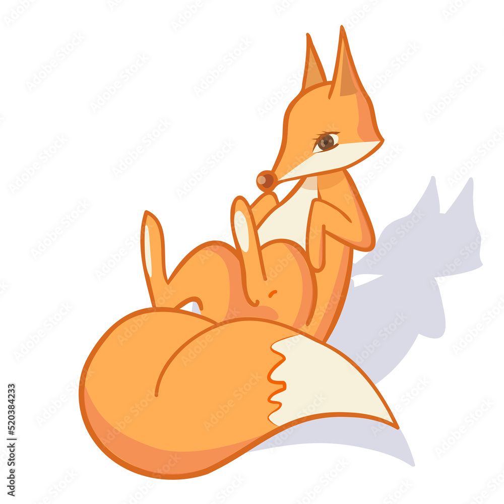 Obraz premium Fox illustration. Cute adorable animal lying on a back, isolated on white background. Fox cute cartoon illustration.