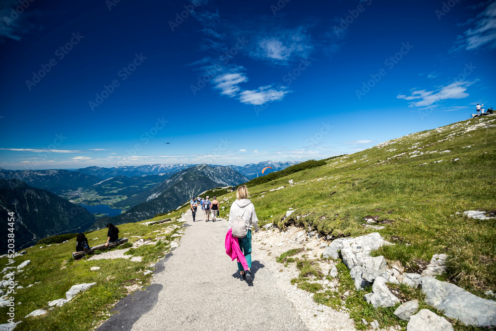 Traveler, Summer mountains, panorama of the Austrian Alps