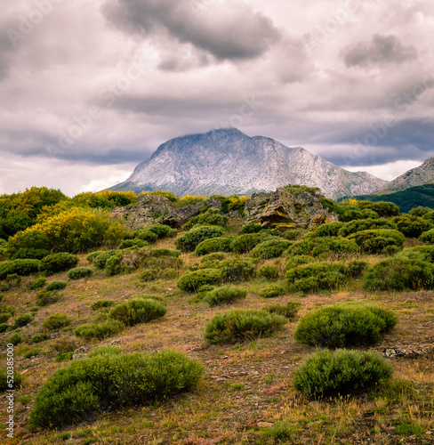 Paisaje de naturaleza con una montaña rocosa de fondo un cielo de nubes grises y vegetación de formas redondeadas de primer plano.