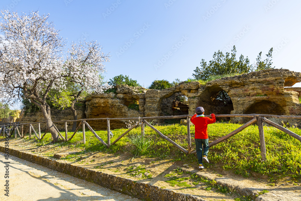 Fototapeta premium Byzantine and early Christian necropolis in the Valley of the Temples in Agrigento