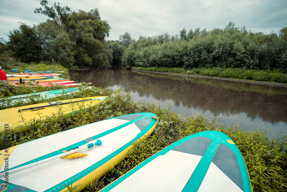 Lot of SUP boards lie on the birch of a small river. Summer, green trees and muddy water, the concept of an active life, a start and a tour.