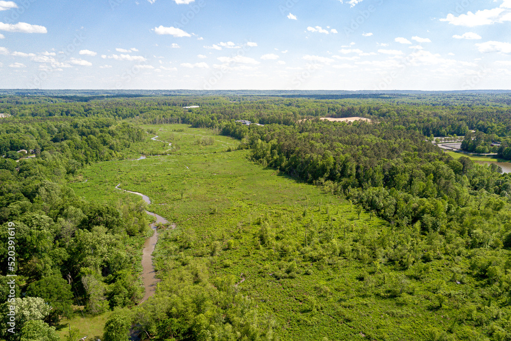 Green marsh land with stream river drone aerial with trees