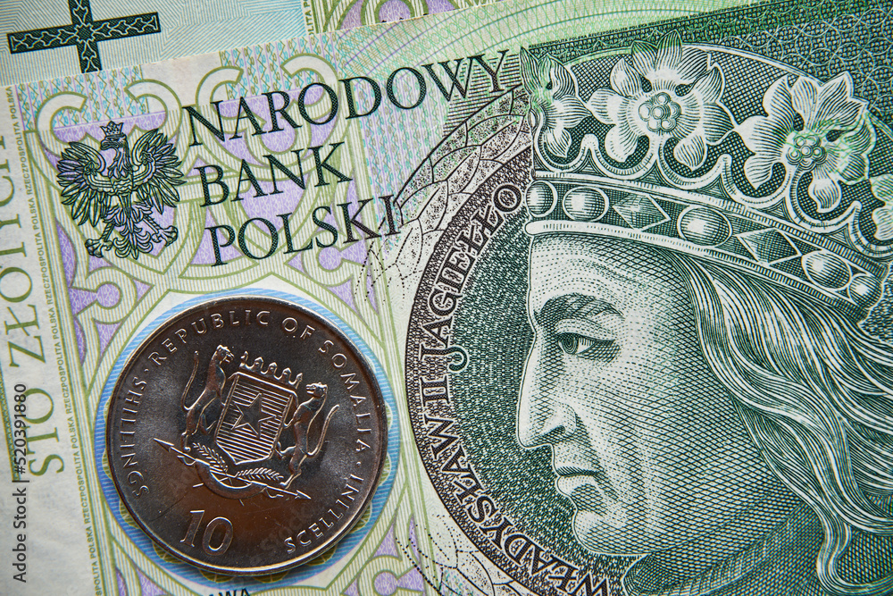 polski banknot,100 PLN, moneta somalijska , Polish banknote, 100 PLN, Somali coin - obrazy, fototapety, plakaty 