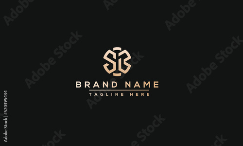 Logo design letter SB . Elegant modern. Vector template. photo