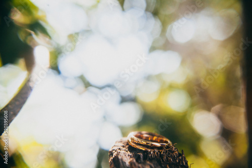 Two wedding rings on a branch in the garden