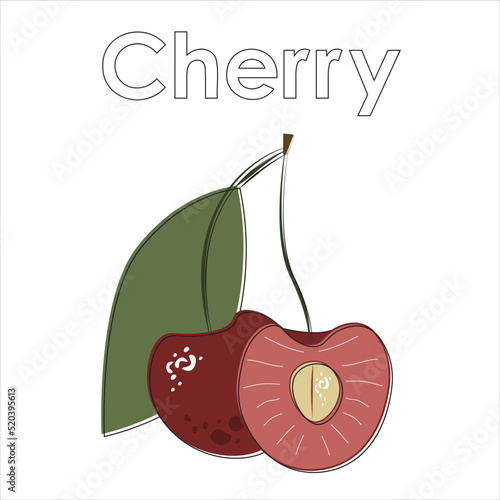 Flat  vector cherry with  thin black line on white background