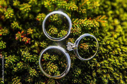 Three wedding rings on green Icelandic moss