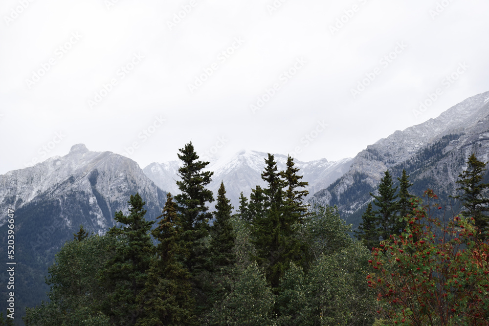 Landscape view of trees and mountains in town of Canmore in Banff