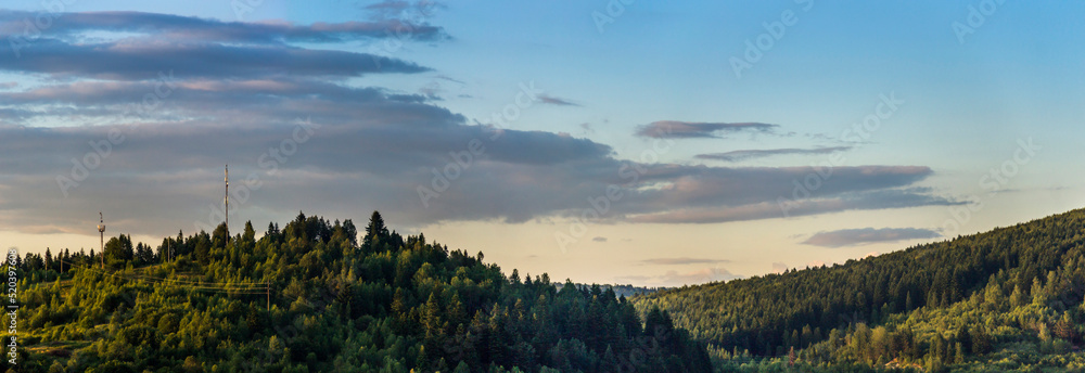 wide view of spruce Carpathian forest, Skole Beskids National Nature Park, Lviv region of Ukraine