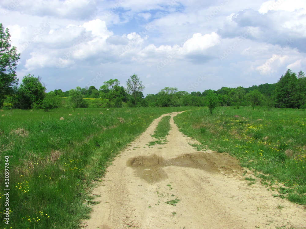 Fototapeta premium Dirt road in the field
