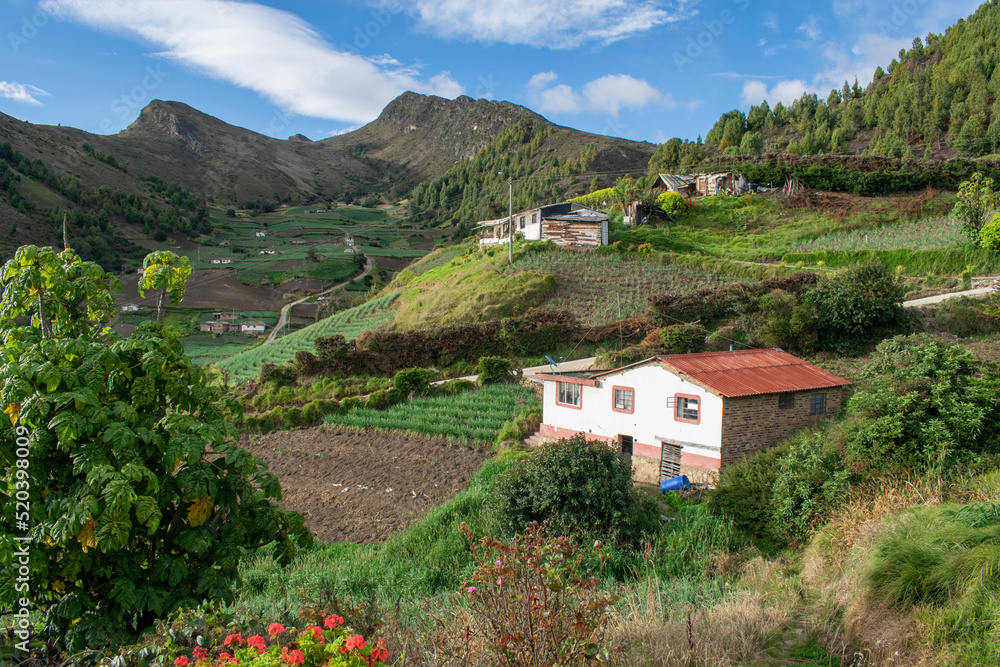 Casa campesina rodeada de cultivos de cebolla junca, criolla, papa y hortalizas , ubicada alrededor de la laguna de tota en Boyaca, colombia
