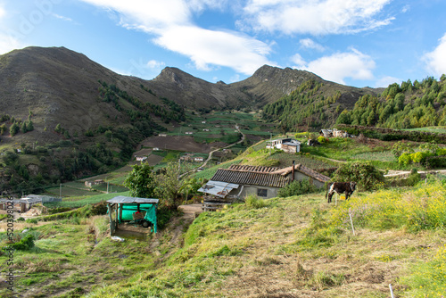 Casa campesina rodeada de cultivos de cebolla junca, criolla, papa y hortalizas , ubicada alrededor de la laguna de tota en Boyaca, colombia photo