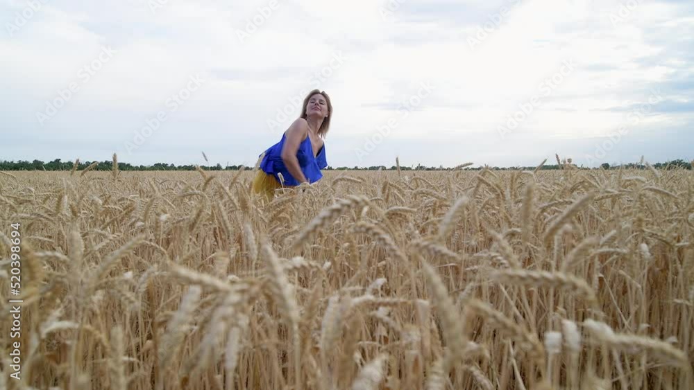Beautiful Ukrainian woman wearing dress in Ukrainian national flag colours, blue and yellow, at wheat field in morning. Ears of wheat close up.Russian Ukrainian war crisis concept. Beautiful Ukrainian woman wearing dress in Ukrainian national flag colours, blue and yellow, at wheat field in morning. Ears of wheat close up.Russian Ukrainian war crisis concept.