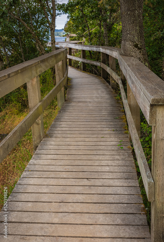 Eco path wooden walkway in park of British Columbia. Ecological trail path route walkways laid in the forest.