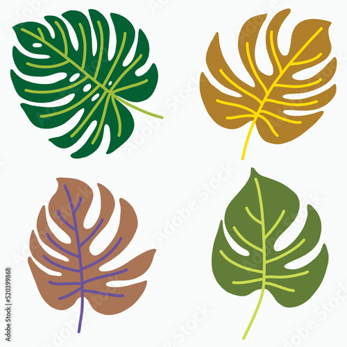 Simplicity monstera leaf freehand continuous line drawing flat design.