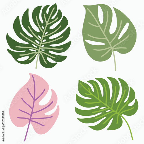 Simplicity monstera leaf freehand continuous line drawing flat design.