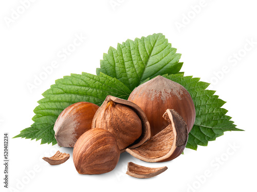 Hazelnuts with green leaves isolated on white. Deep focus