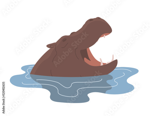 Large adult hippo. Floats in the water. Head with open mouth. Wild and dangerous aquatic animal of Africa. Herbivorous mammal. fauna and zoo. Flat vector illustration isolated on white background
