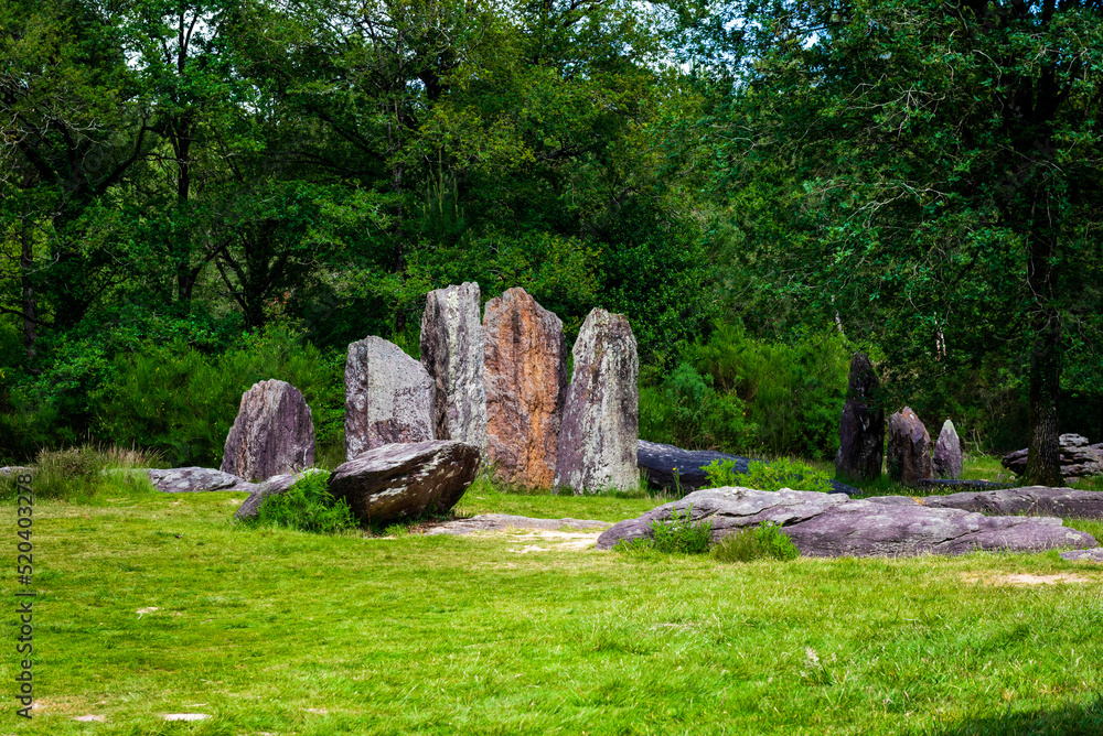 Menhirs alignment in the forest of Monteneuf, Brittany, France Menhirs alignment in the forest of Monteneuf, Brittany, France