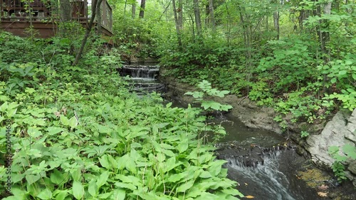 Small Serene Creek Waterfalls in the Woods - Peace photo