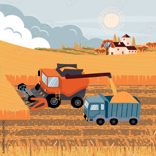 Landscape with a combine harvesting wheat and unloading grain into a truck. Field, ears of cereals, a farm on the horizon, trees, a sky with clouds and the sun.Vector flat cartoon illustration.