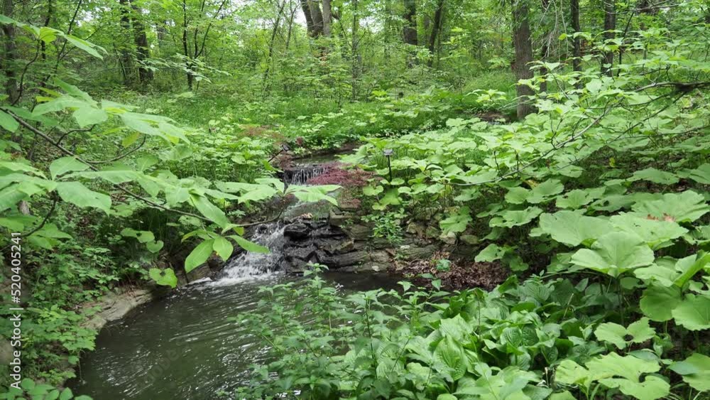 Small Serene Creek Waterfalls in the Woods - Peace Small Serene Creek Waterfalls in the Woods - Peace