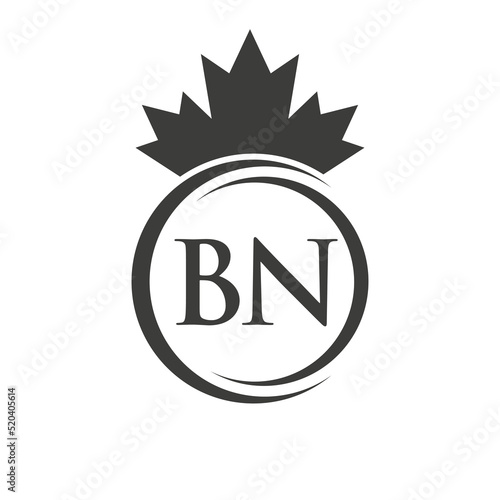 Letter BN Maple Leaf Logo Template Symbol Canadian Business, Company Logo Concept Vector Template