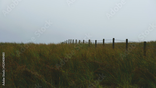 marshy terrain, traditional irish landscape, cloudy skies out of focus, travel and tourism concept, rural autumn landscape