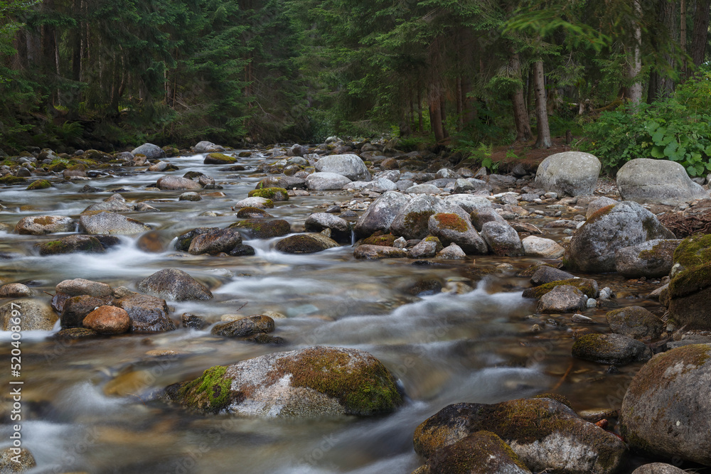 Fast mountain river in forest. Rackova valley, Western Tatras mountains. Slovakia Fast mountain river in forest. Rackova valley, Western Tatras mountains. Slovakia