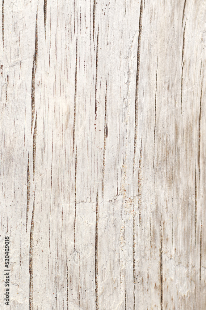 modern nordic style dry white driftwood background