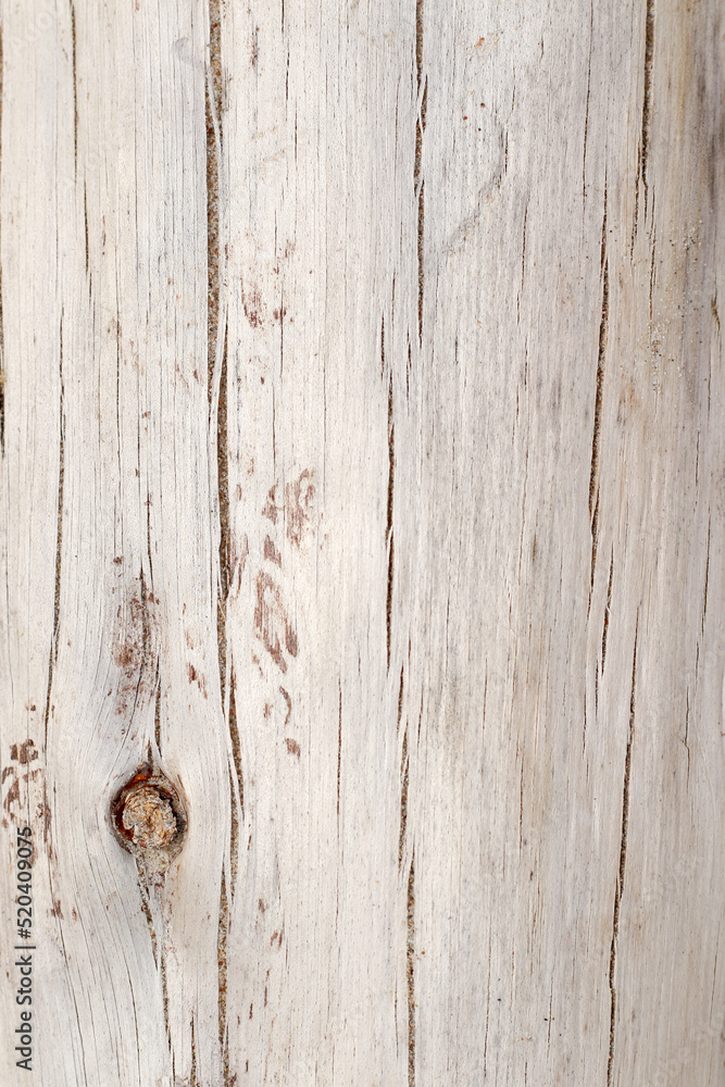 modern nordic style dry white driftwood background modern nordic style dry white driftwood background