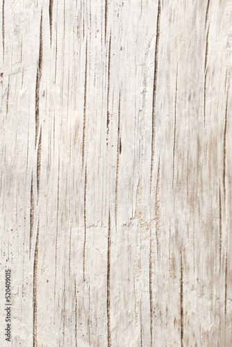 modern nordic style dry white driftwood background