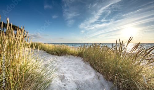 Fototapeta Naklejka Na Ścianę i Meble -  küste