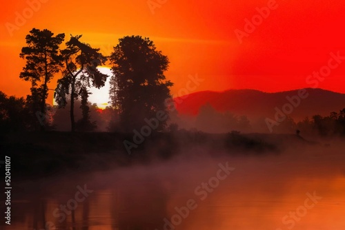 Wschód słońca nad wartą - ogromna tarcza słońca za drzewami i czerwone niebo