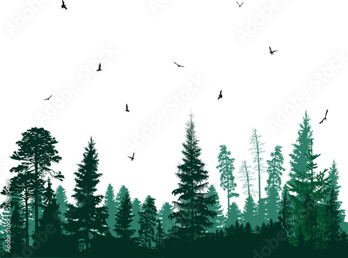 birds group above dark cyan forest isolated on white